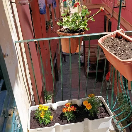 Apartman Da A Landa Nel Centro Storico Ad Un Passo Dal Mare *