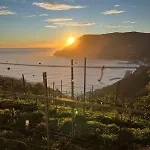 アパート Da A Landa Nel Centro Storico Ad Un Passo Dal Mare *